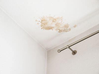 About Los Angeles Mold Cleanup Pros - mold cleanup experts in Los Angeles